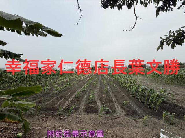 安定農地-8