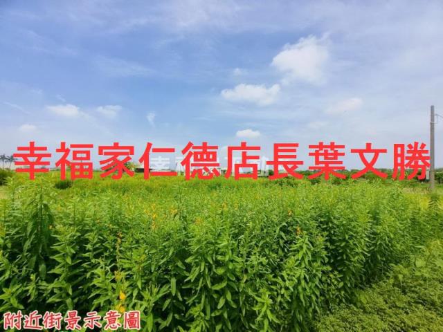 安定農地-5