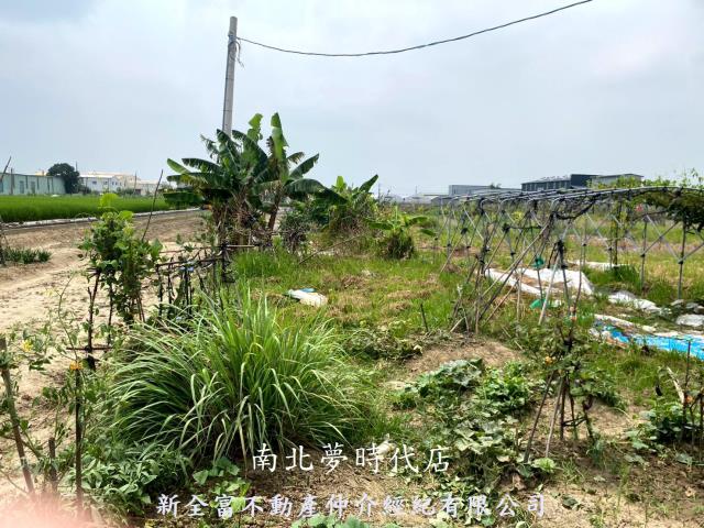 西區農地-12