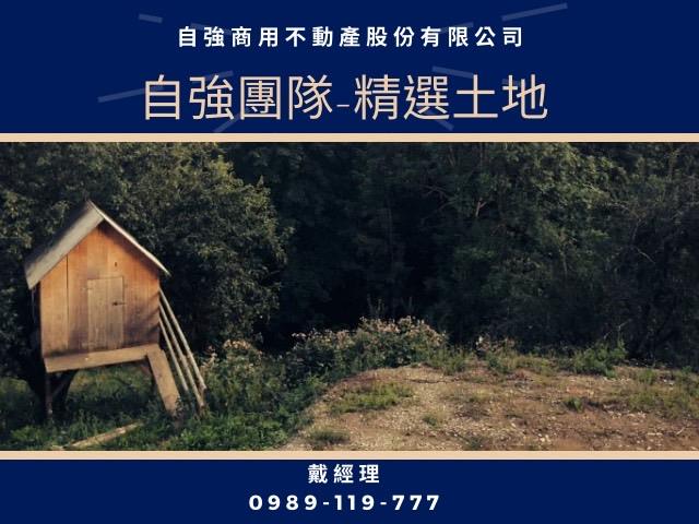 通霄農地-1
