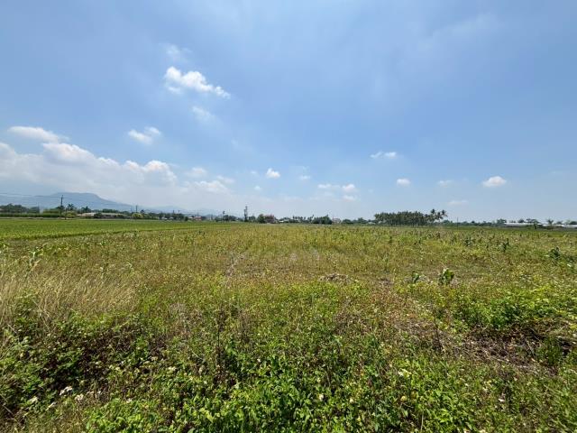 白河農地-2