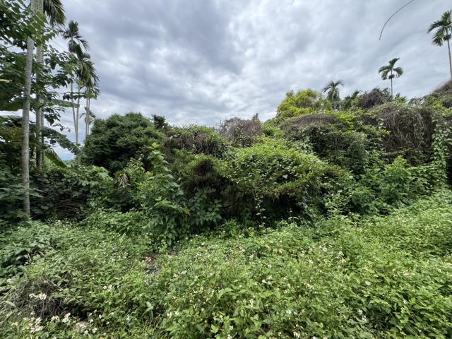 南投南投市農地-3