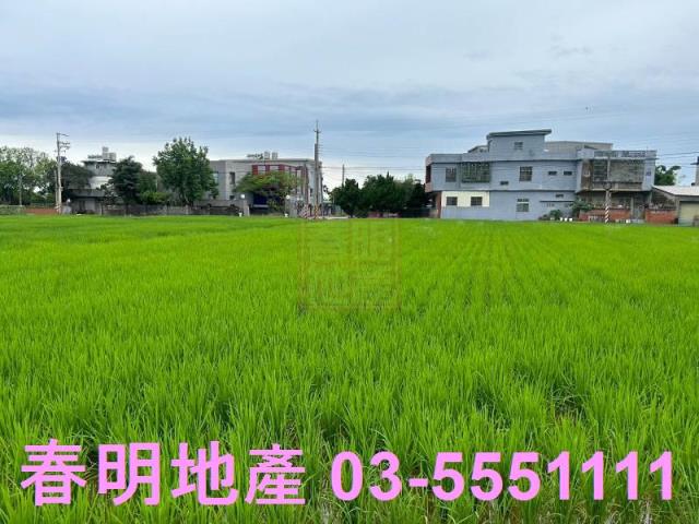 新豐農地-1