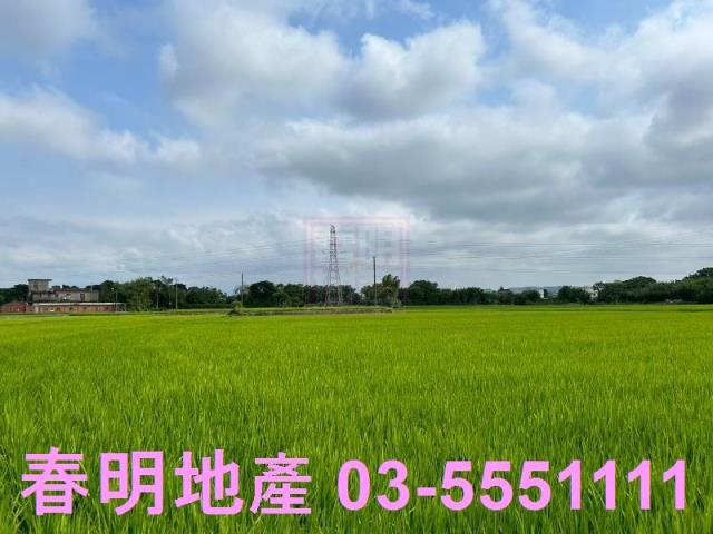 新豐農地-4