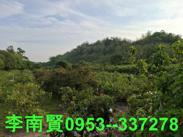 玉井農地-10