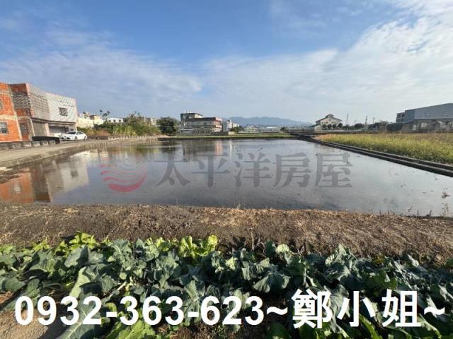 苑裡農地-15