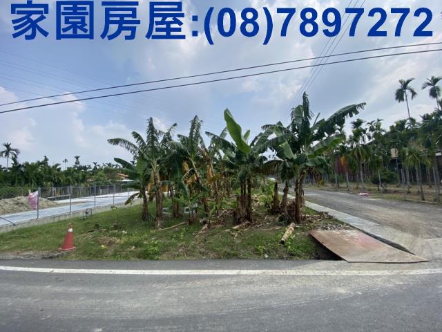 內埔農地-2