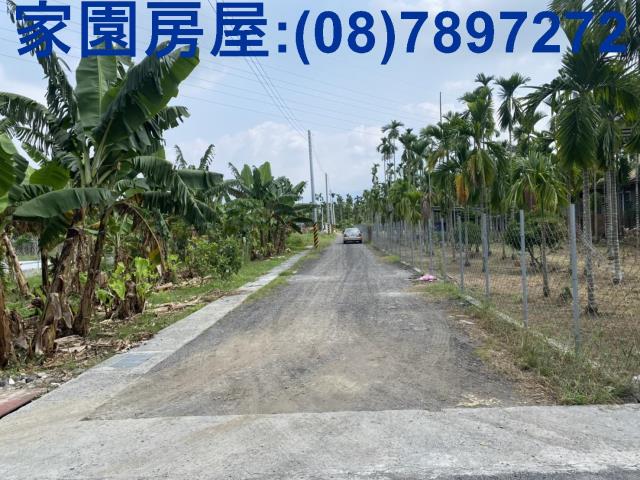 內埔農地-3