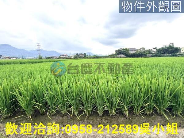 芎林農地-6