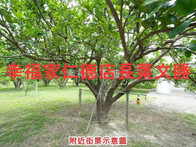 麻豆農地-8