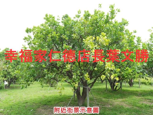 麻豆農地-9