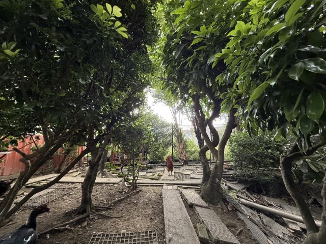 高雄農地-6