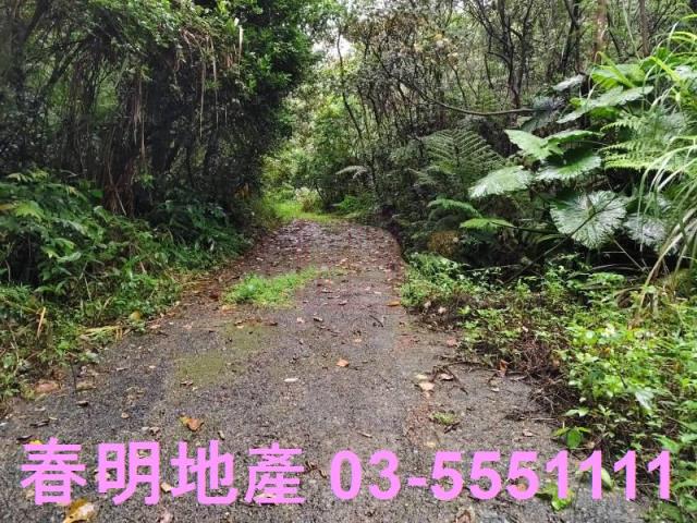 新竹芎林林地-2