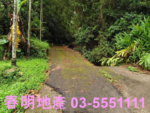 新竹芎林林地-5