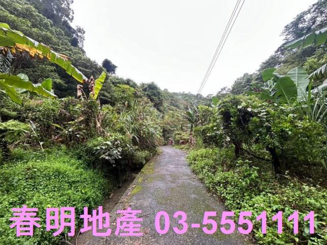 新竹芎林林地-8
