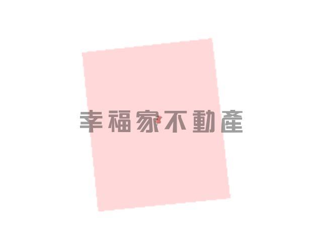 台南新化農地-15