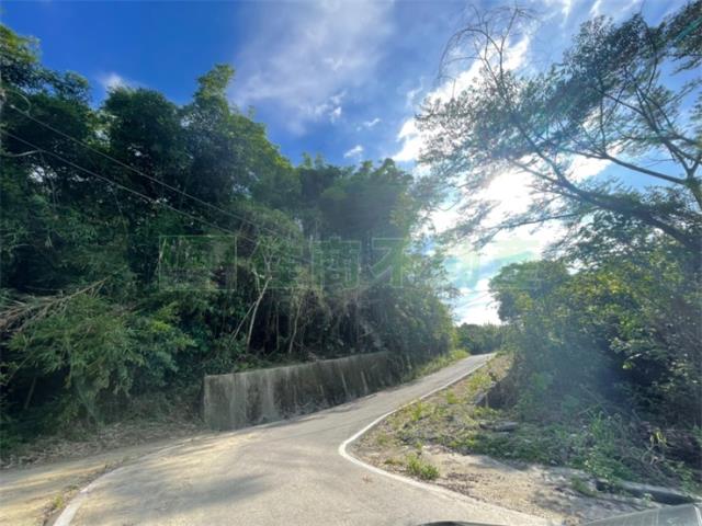 台南東山農地-2