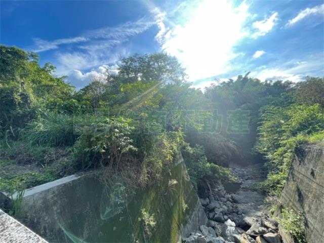 台南東山農地-5