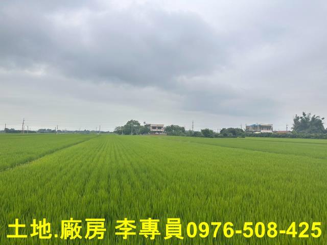 埤頭農地-2