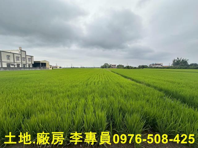 埤頭農地-4