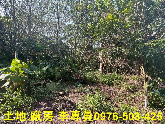 南投市農地-4