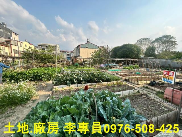 埔里農地-2