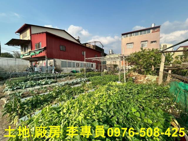 埔里農地-6