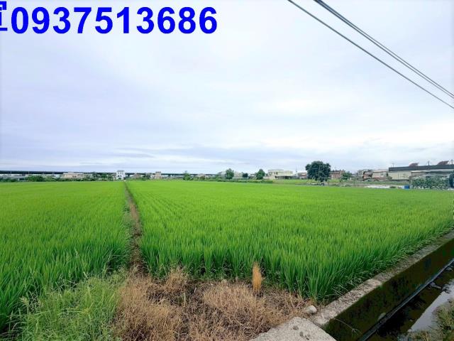 宜蘭市農地-1