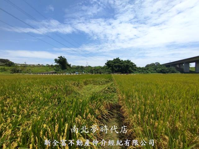 台南農地-11