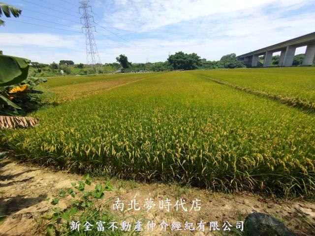 台南農地-15