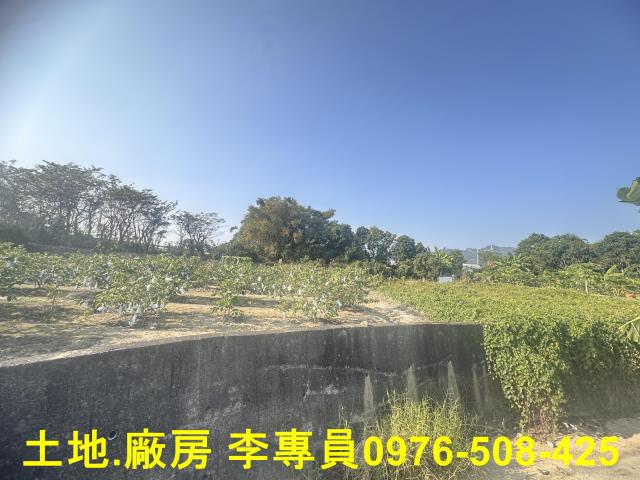 高雄農地-1