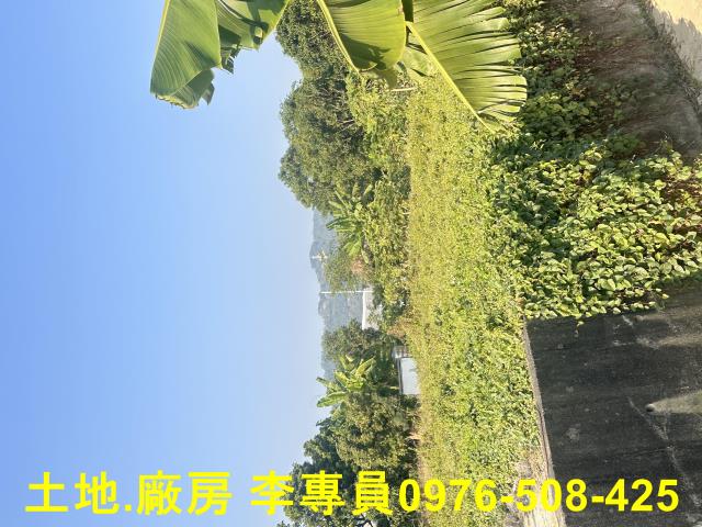 高雄農地-3