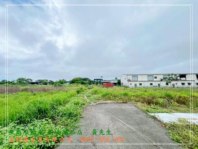 591黃培倫591