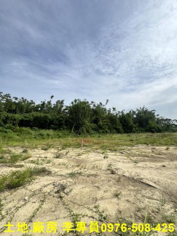 高雄仁武農地-9
