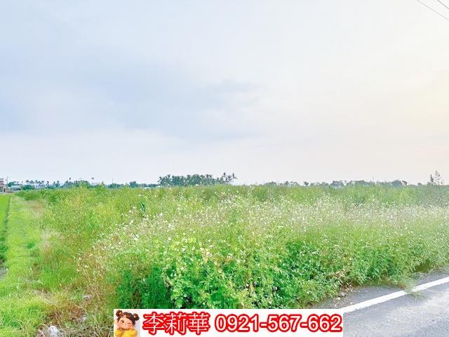 台南白河農地-6