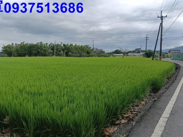 宜蘭頭城農地-13