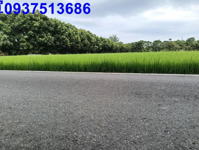 宜蘭頭城農地-5