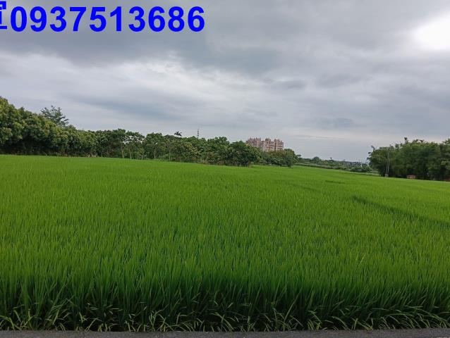 宜蘭頭城農地-6
