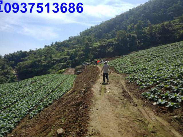 宜蘭南澳山坡地-5