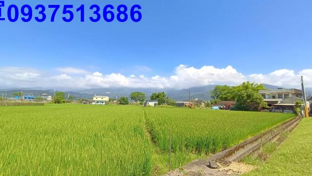 宜蘭礁溪農地-3