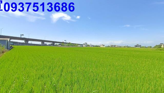 宜蘭礁溪農地-4