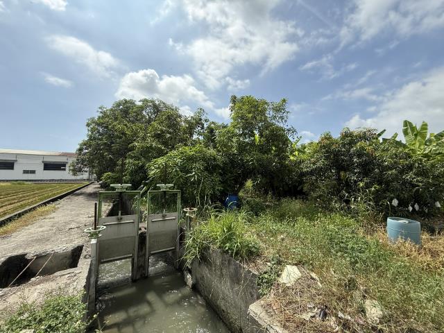 高雄岡山農地-11