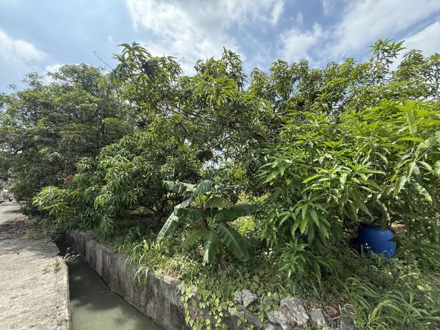 高雄岡山農地-13