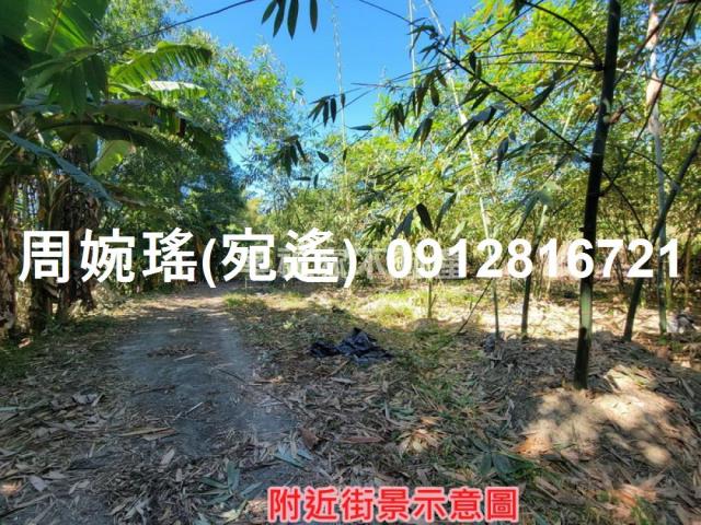 左鎮農地-7