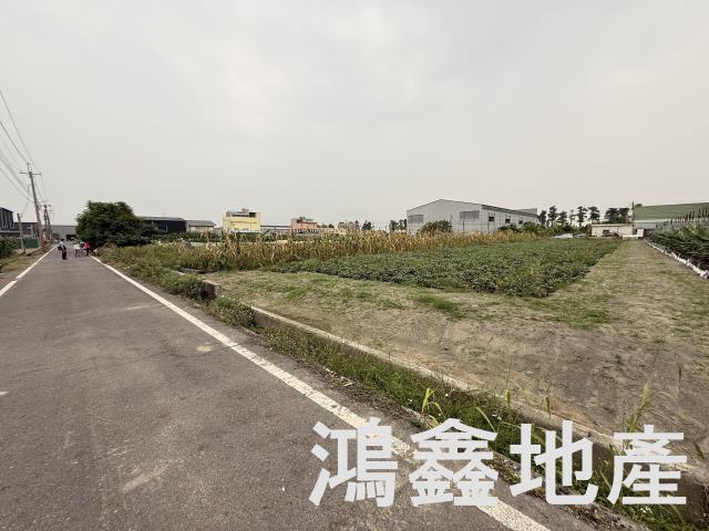大寮農地-3
