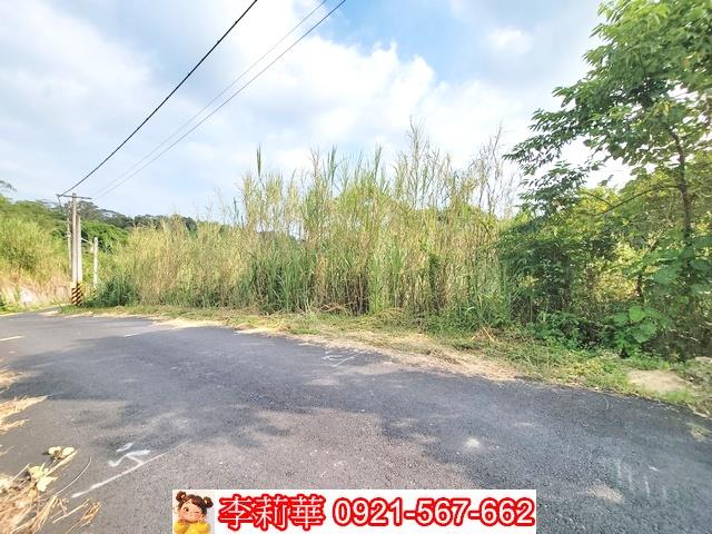 新化林地-6