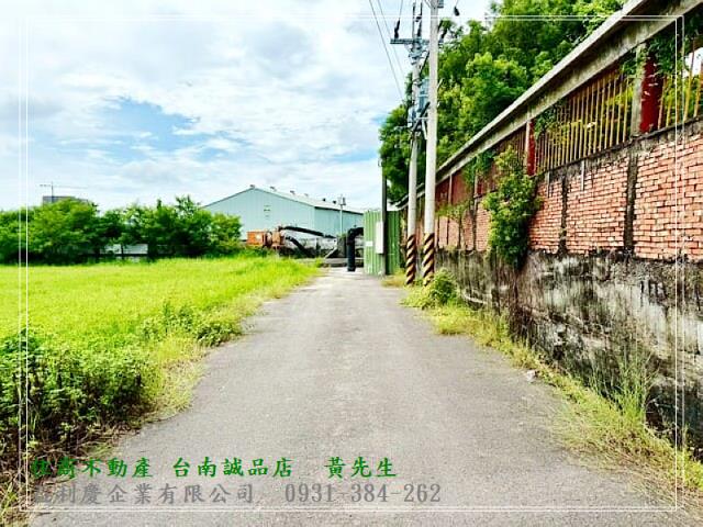 591黃培倫591