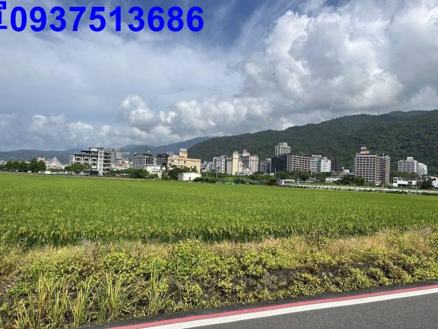 宜蘭礁溪農地-15