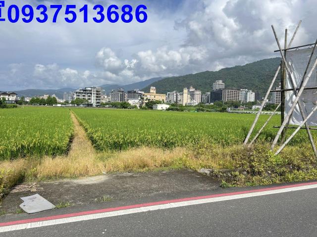 宜蘭礁溪農地-5