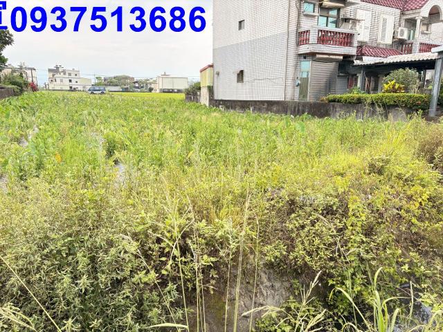 宜蘭壯圍農地-12